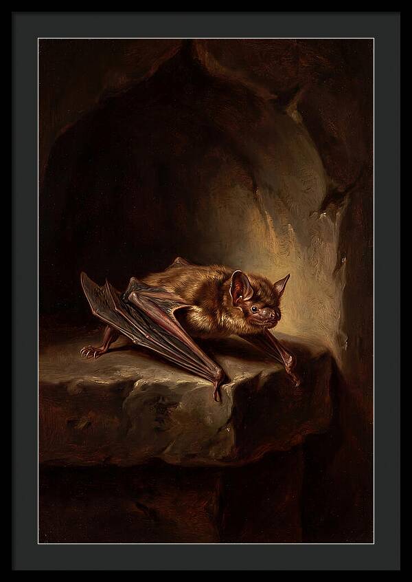 Vampire Bat In Realism