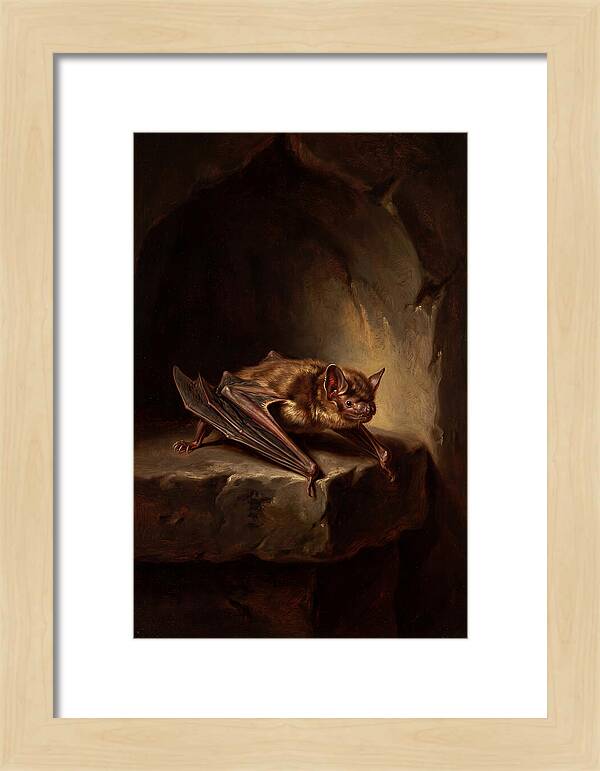 Vampire Bat In Realism