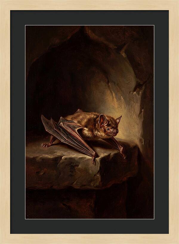 Vampire Bat In Realism