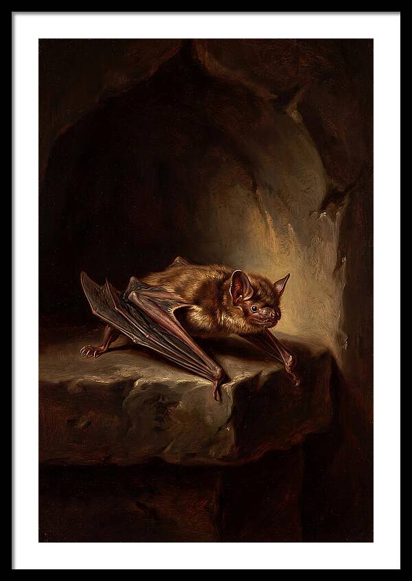 Vampire Bat In Realism