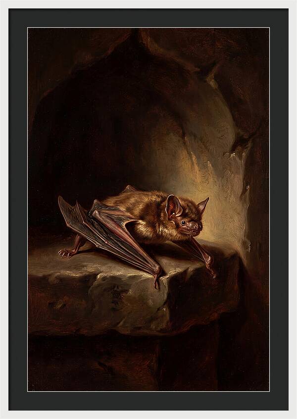 Vampire Bat In Realism