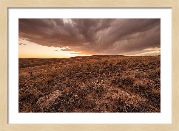 Vast Prairie Under Dramatic Clouds