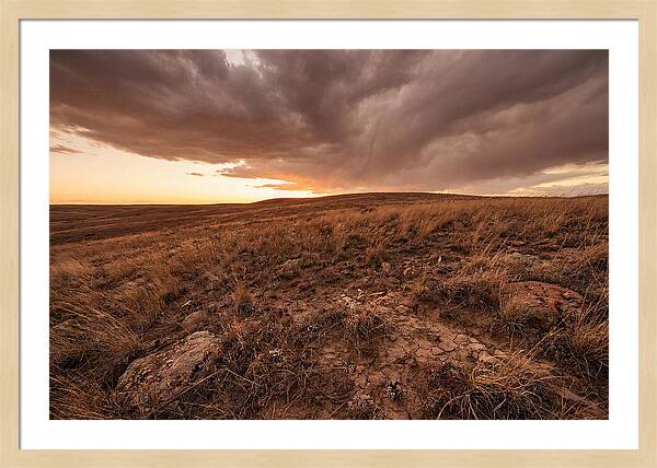 Vast Prairie Under Dramatic Clouds