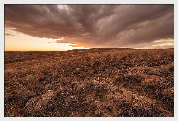 Vast Prairie Under Dramatic Clouds