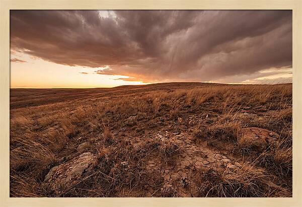 Vast Prairie Under Dramatic Clouds