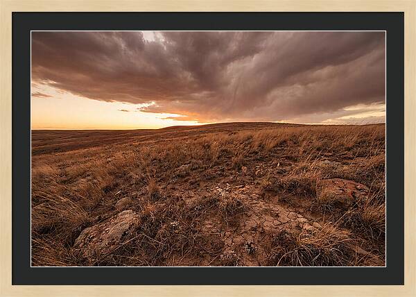 Vast Prairie Under Dramatic Clouds