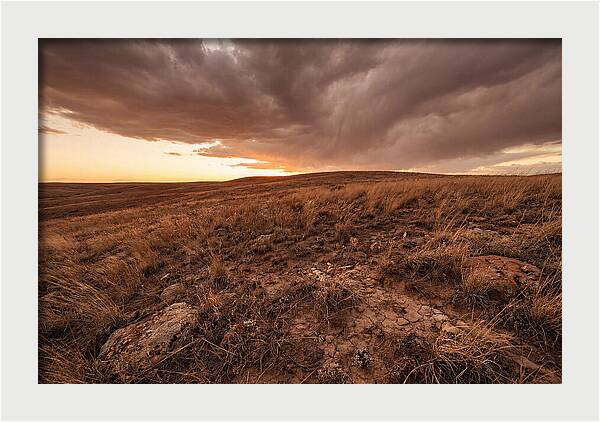 Vast Prairie Under Dramatic Clouds