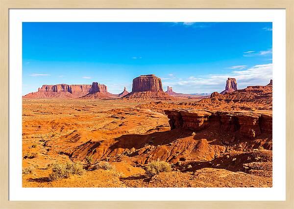 Vast Red Desert Landscape