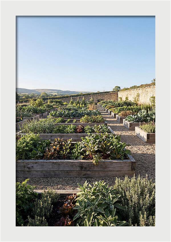 Vegetable Garden Serenity