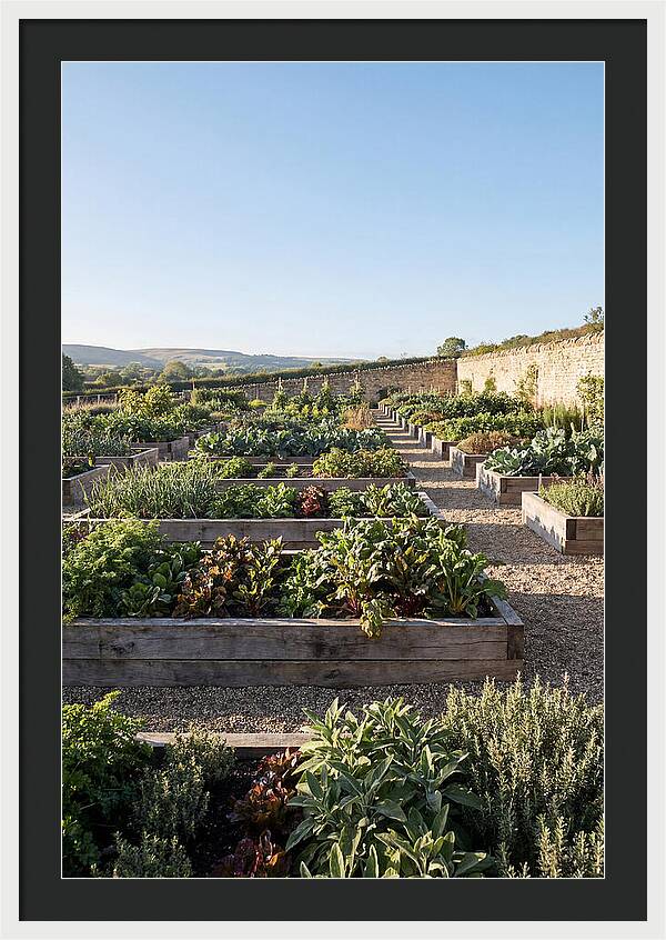 Vegetable Garden Serenity