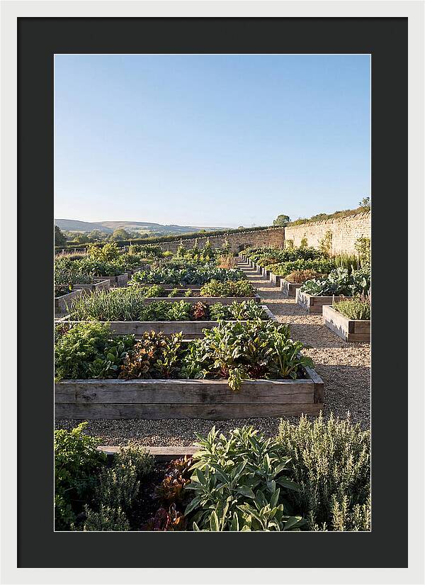 Vegetable Garden Serenity