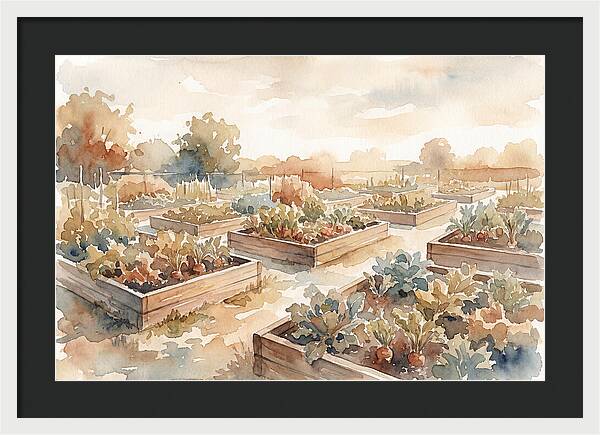Vegetable Garden Serenity