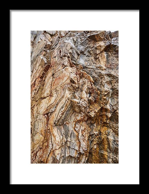 Veins Of Natures Canvas