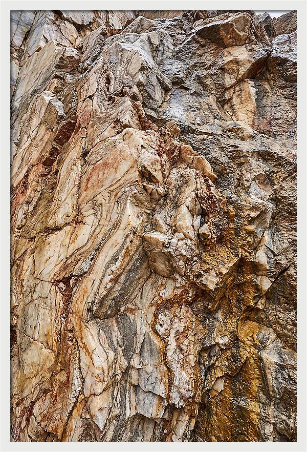 Veins Of Natures Canvas