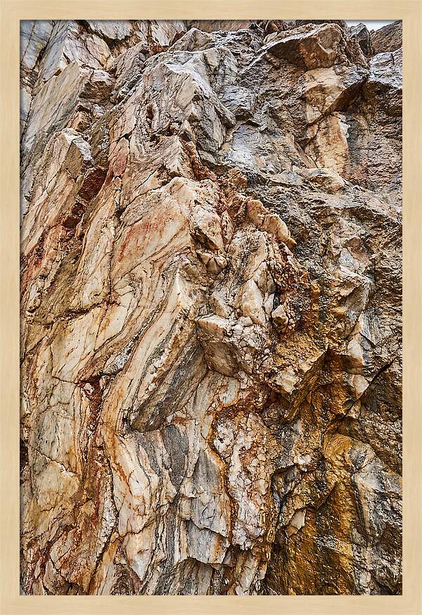 Veins Of Natures Canvas