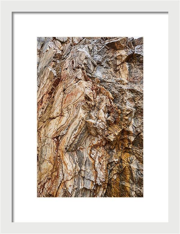 Veins Of Natures Canvas