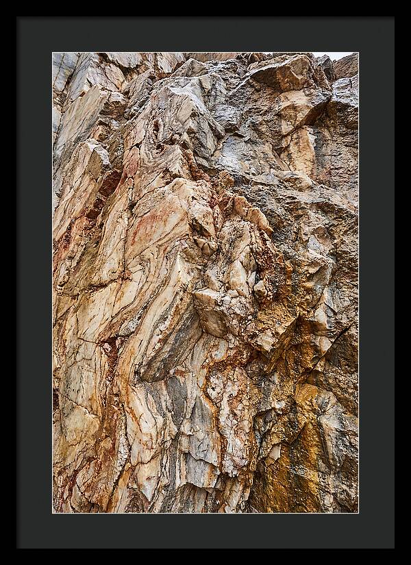 Veins Of Natures Canvas