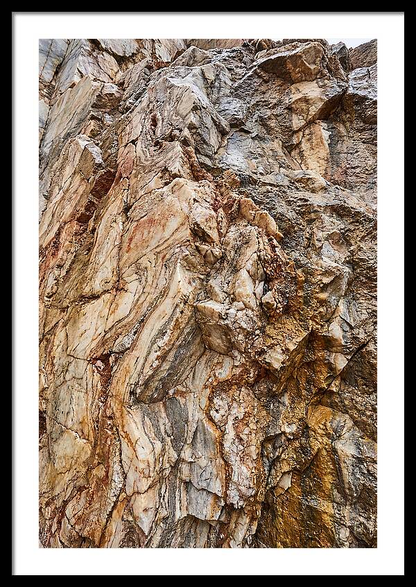 Veins Of Natures Canvas