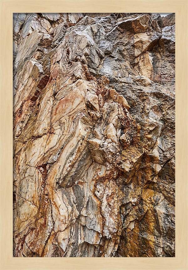 Veins Of Natures Canvas