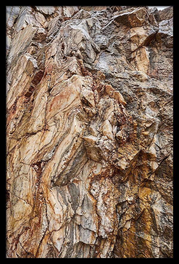 Veins Of Natures Canvas