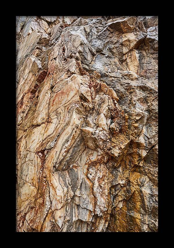 Veins Of Natures Canvas