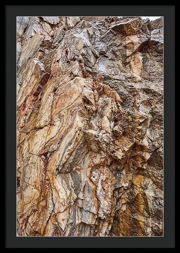Veins Of Natures Canvas