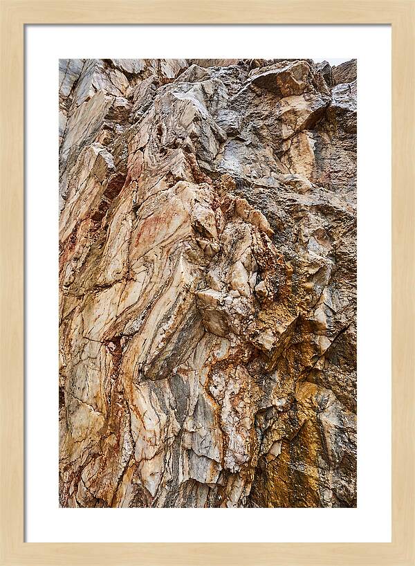 Veins Of Natures Canvas
