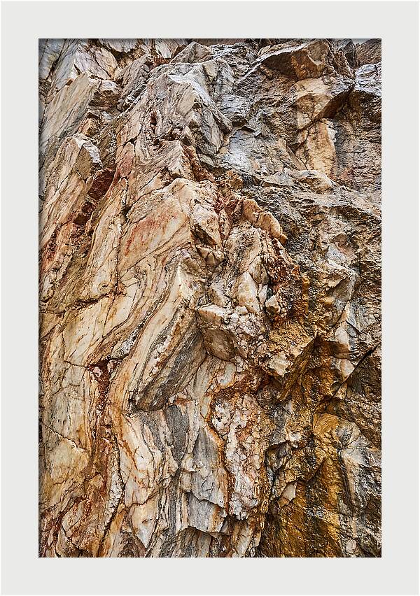 Veins Of Natures Canvas