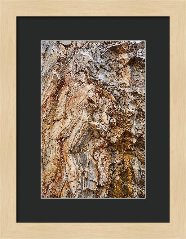 Veins Of Natures Canvas