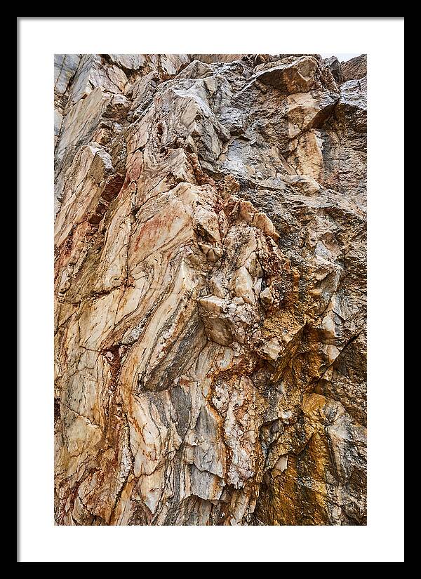 Veins Of Natures Canvas