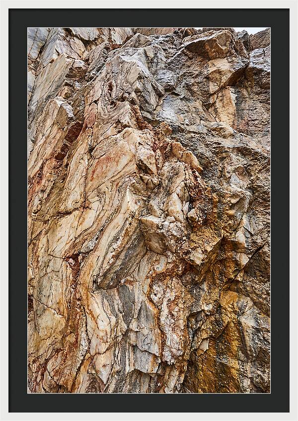 Veins Of Natures Canvas