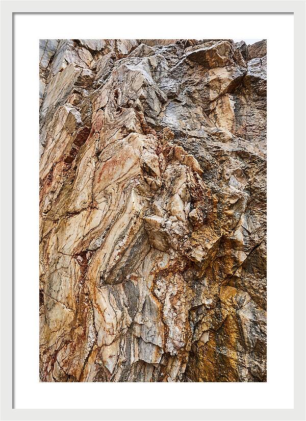 Veins Of Natures Canvas