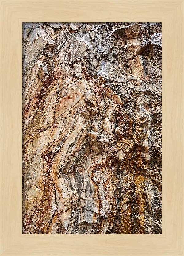 Veins Of Natures Canvas