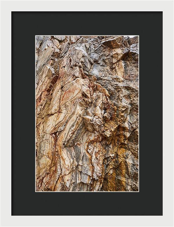 Veins Of Natures Canvas