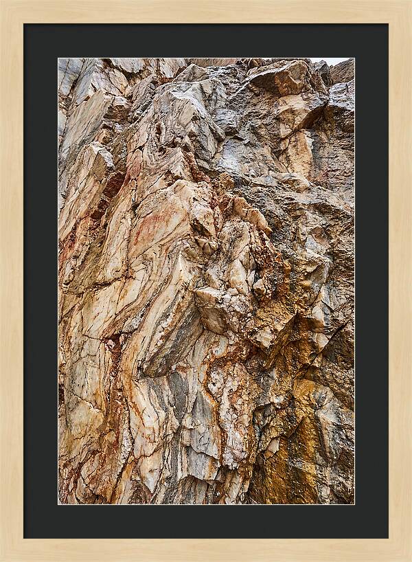 Veins Of Natures Canvas