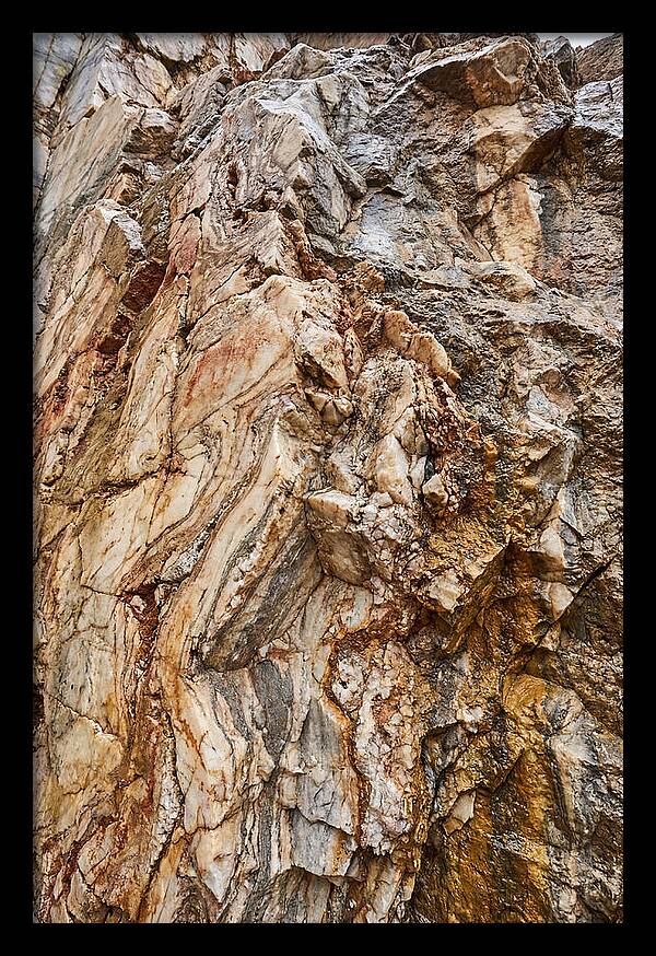 Veins Of Natures Canvas