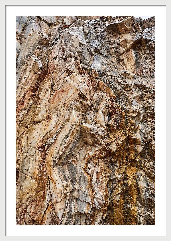 Veins Of Natures Canvas