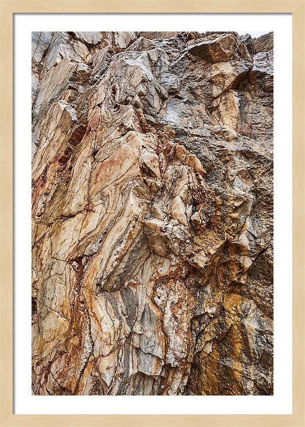 Veins Of Natures Canvas