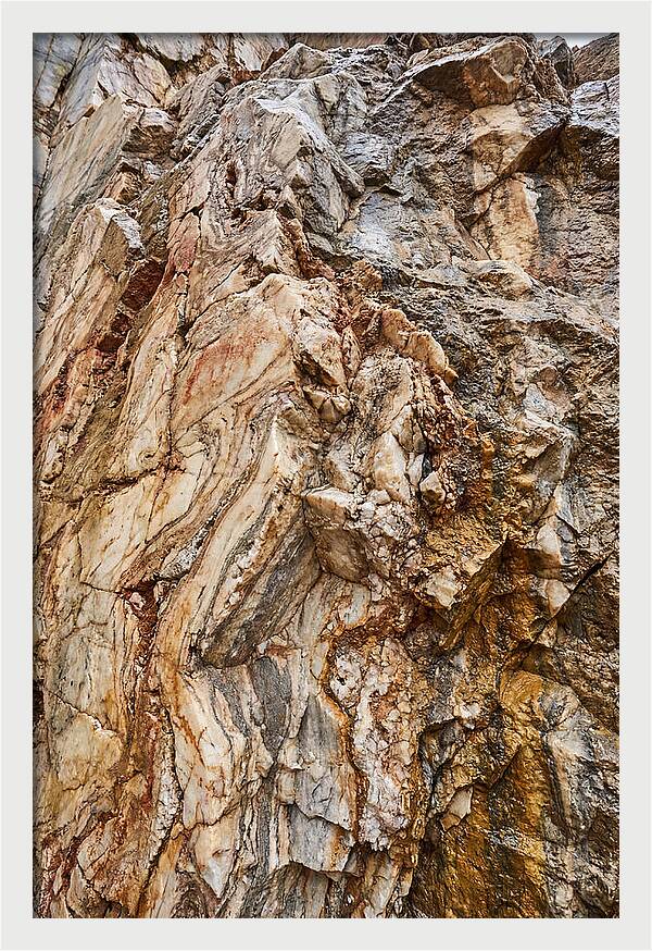 Veins Of Natures Canvas