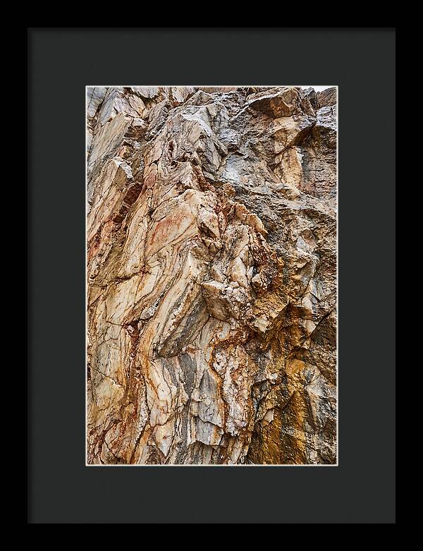 Veins Of Natures Canvas
