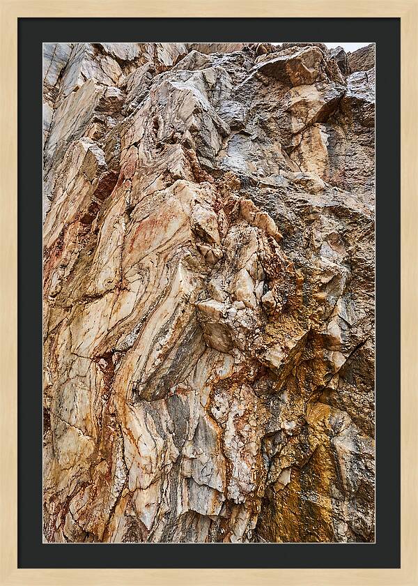 Veins Of Natures Canvas