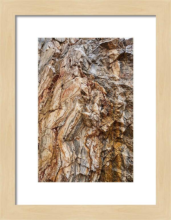 Veins Of Natures Canvas
