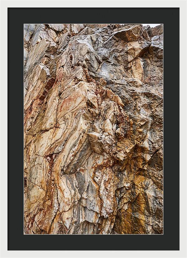 Veins Of Natures Canvas