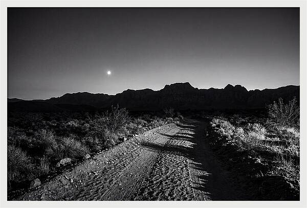 Venus Bright At Dusk
