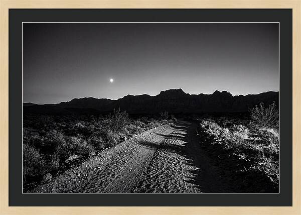 Venus Bright At Dusk