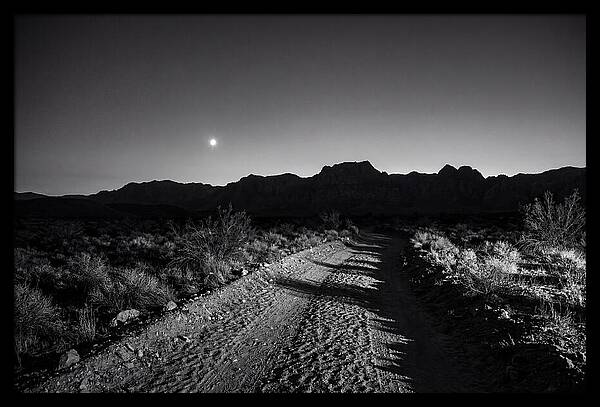 Venus Bright At Dusk