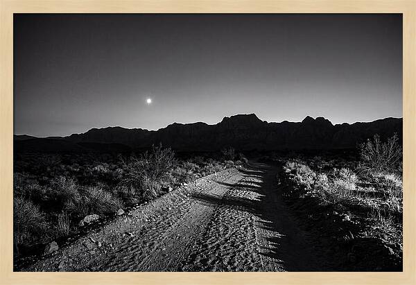 Venus Bright At Dusk