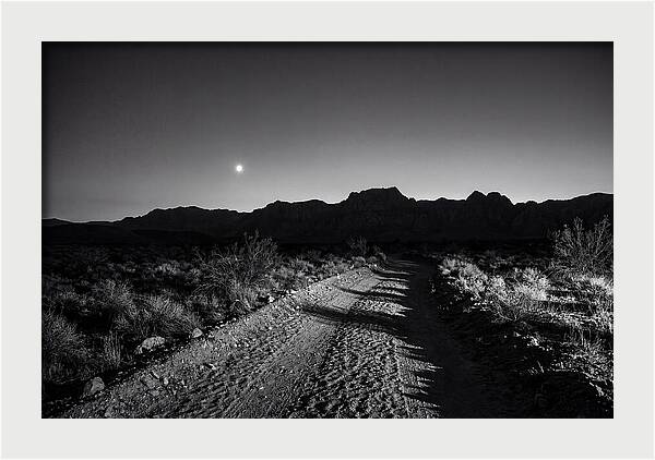 Venus Bright At Dusk