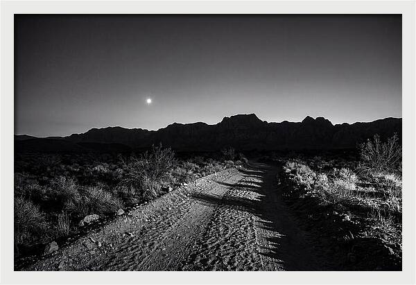 Venus Bright At Dusk