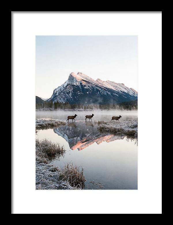 Vermilion Lakes Serenity At Dawn